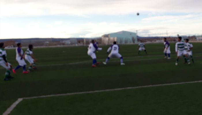 LIGA DE VETERANOS:  POSICIONES Y GOLEADORES