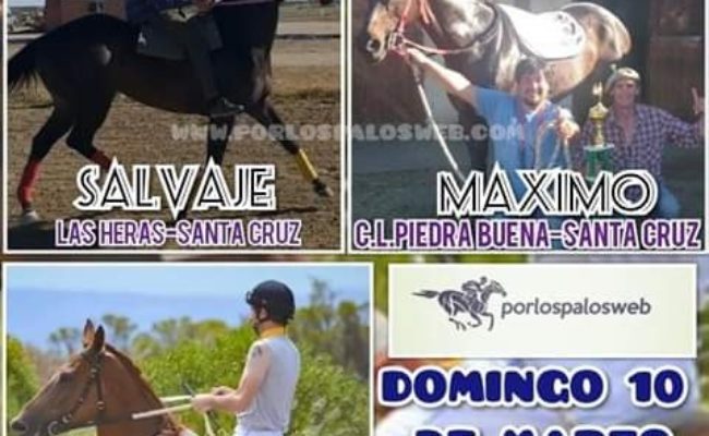 GRAN JORNADA  HIPICA DE CARRERAS CUADRERAS