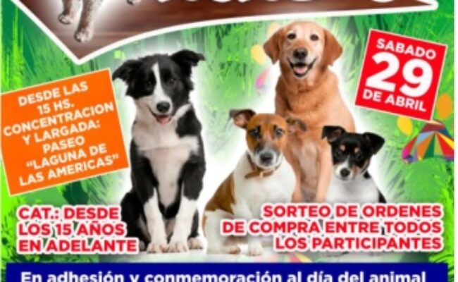 PASEO CANINO 2023:  ULTIMA SEMANA DE INSCRIPCIONES