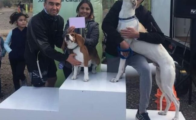 PASEO CANINO 2023 : HASTA EL JUEVES 27 SIGUEN ABIERTAS LAS INSCRIPCIONES