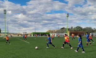 FUTBOL 9NA. DIVISIÓN:   HALCON...